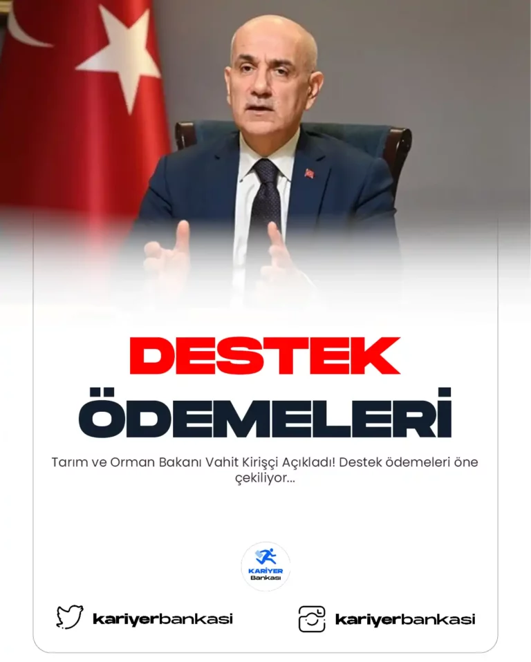 destek ödemleeri
