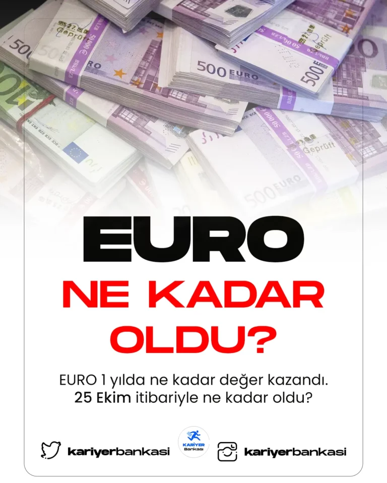 euro ne kadar