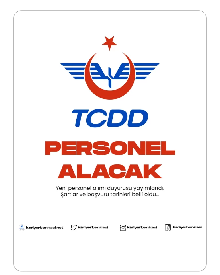 müfettiş yardımcısı