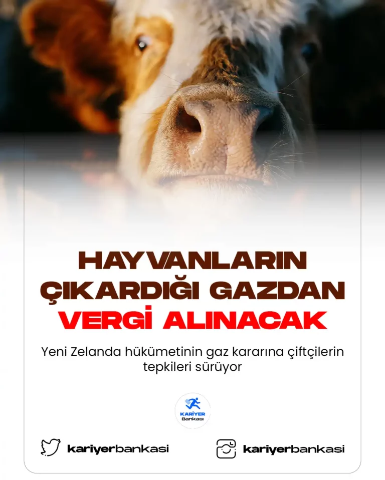 hayvanlarda çıkardığı gaza vergi