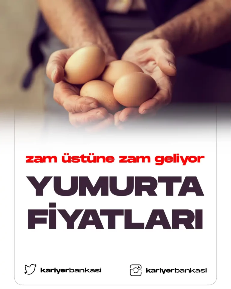 yumurta fiyatları