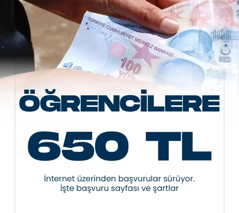 VGM Yükseköğrenim Bursu