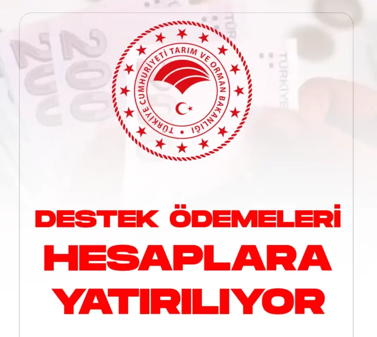 destek ödemeleri