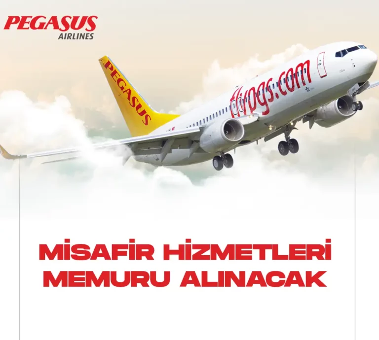 pegasus misafir hizmetleri memuru