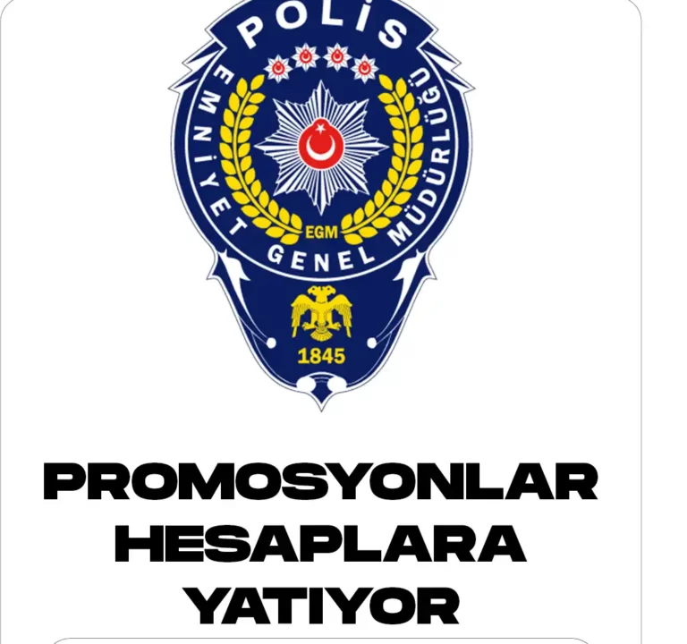 promosyon ödemeleri