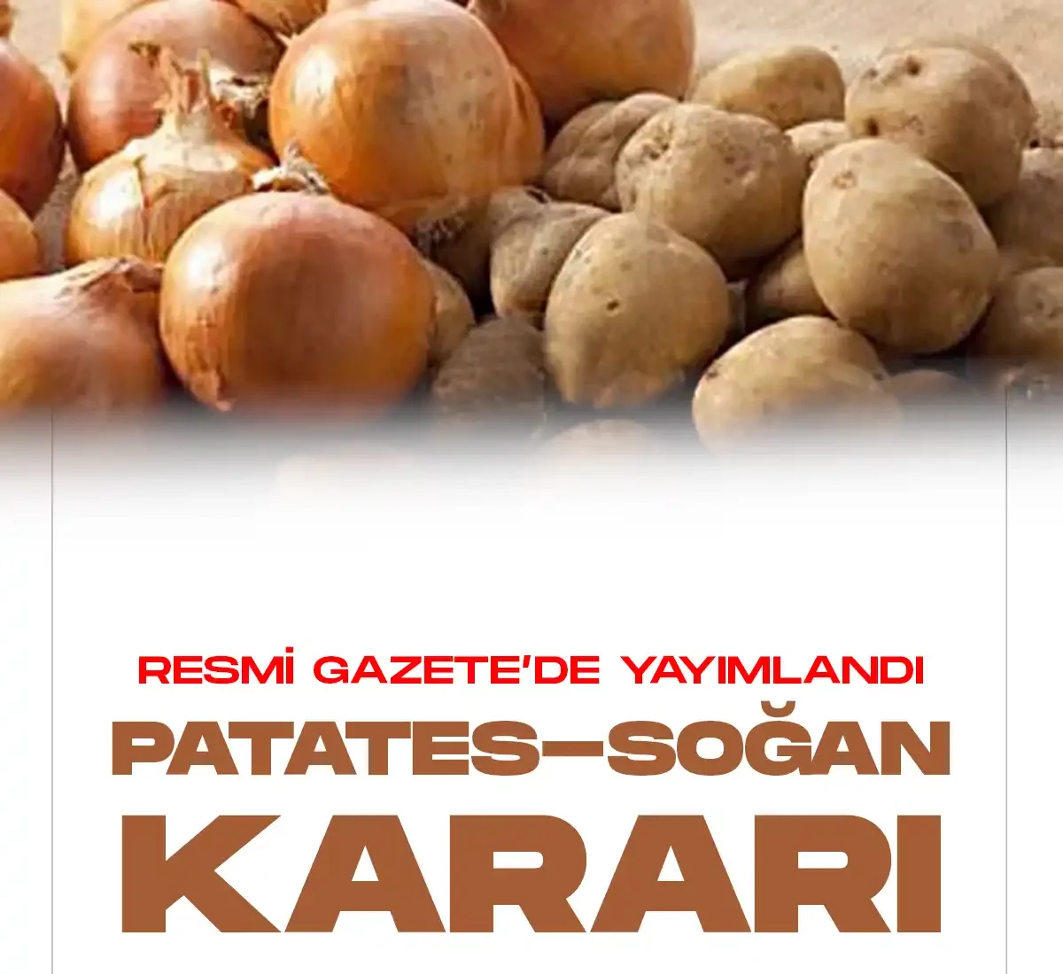 Patates Soğan Kararı Resmi Gazete'de yayımlandı