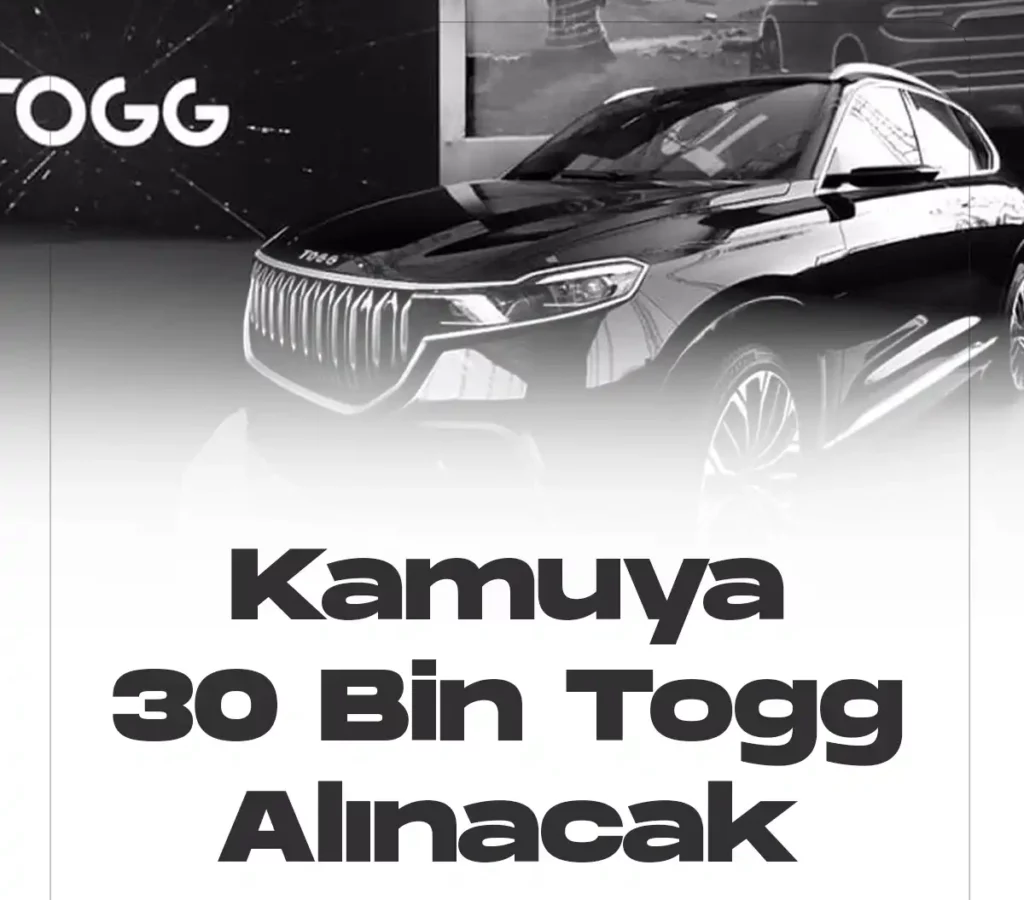 Kamuya 30 bin togg alınacak.
