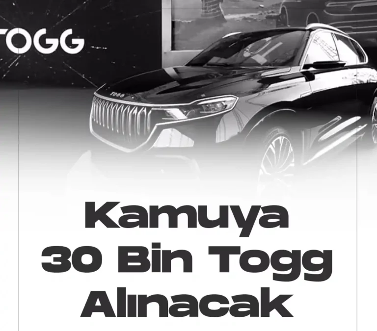 Kamuya 30 bin togg alınacak.