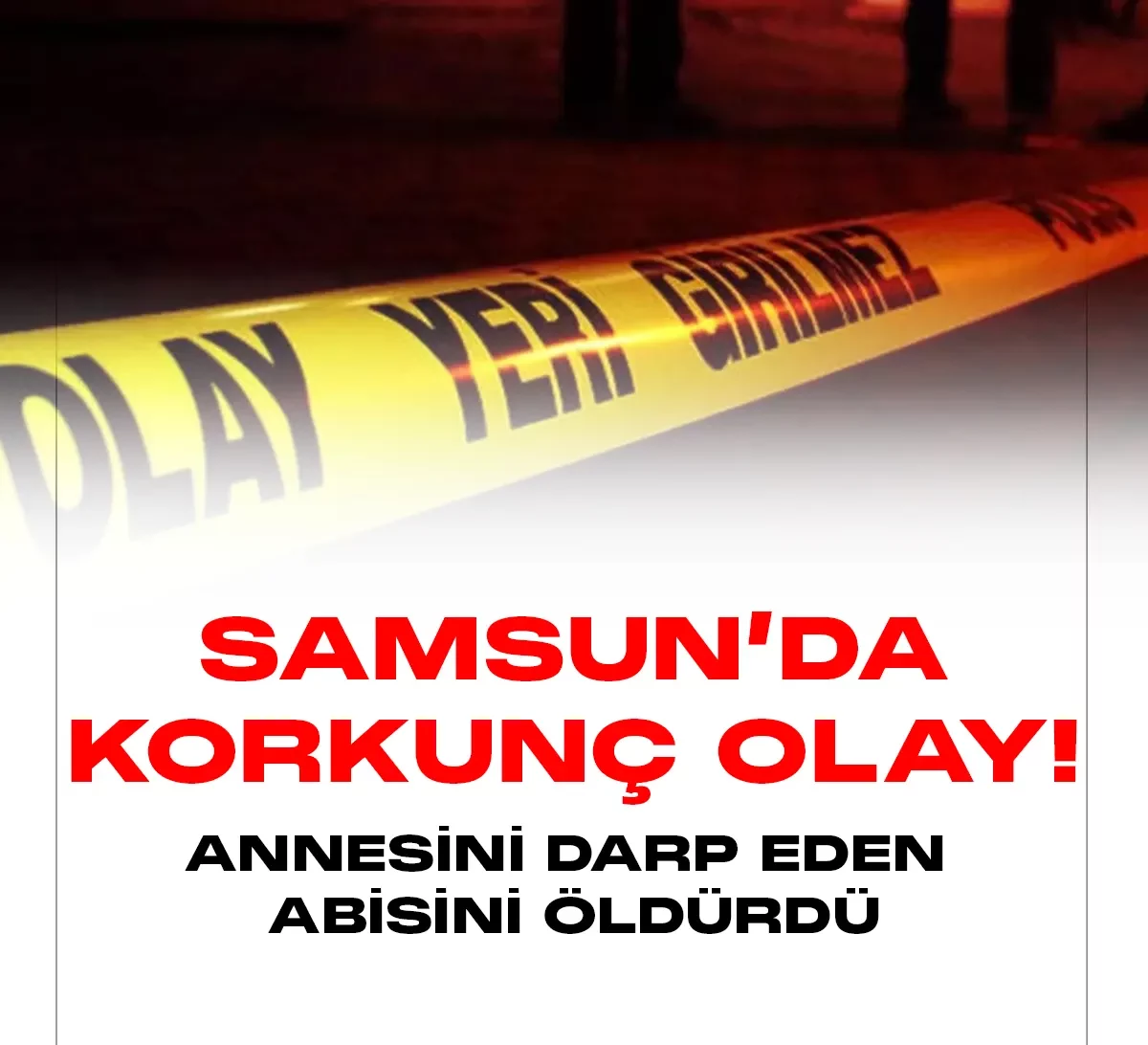 Samsun Atakum'da 17 yaşındaki bir genç, psikolojik sorunları bulunan ağabeyini bıçakladı.