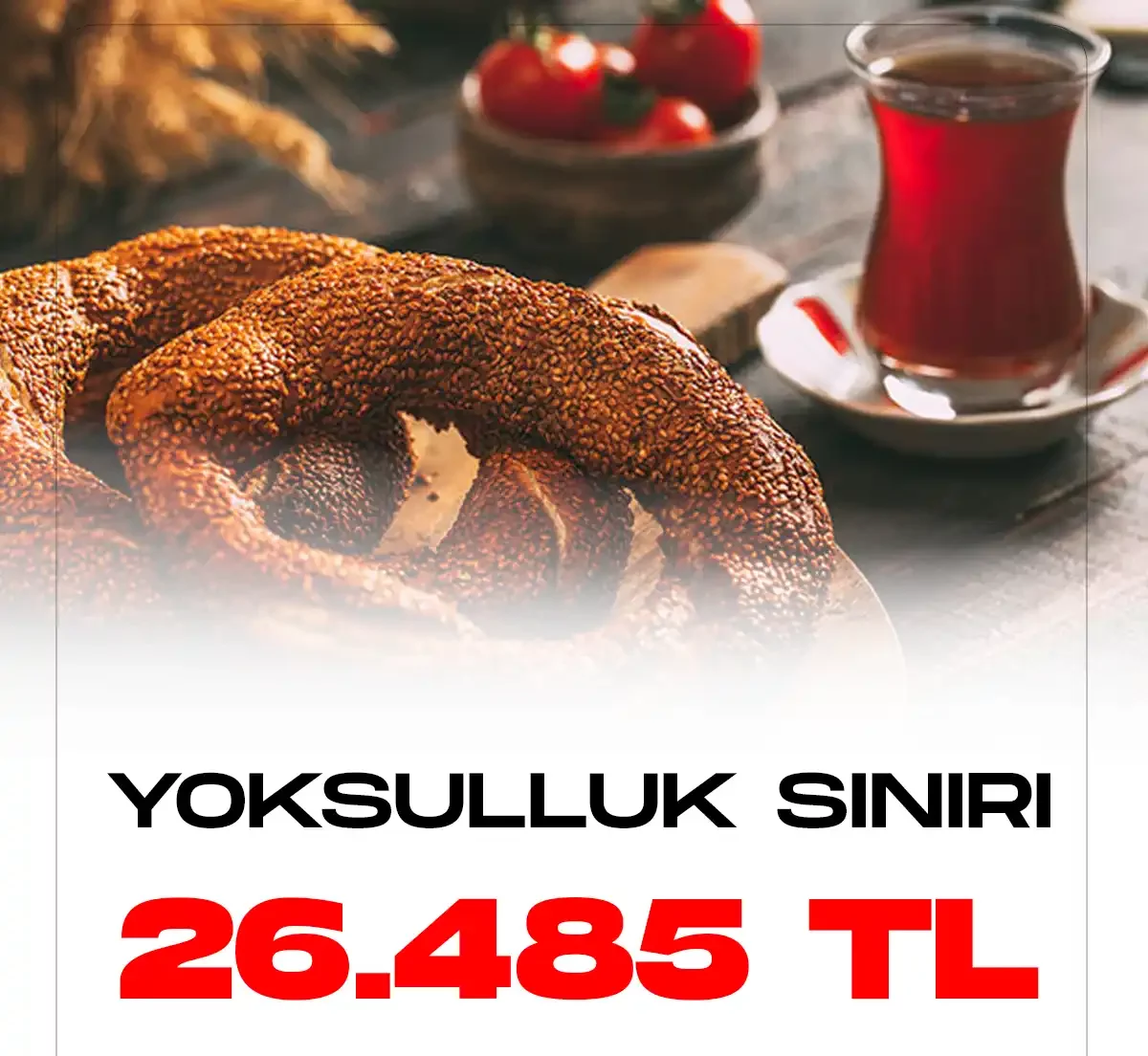 Türk İş yoksulluk sınırını 26 bin 485 TL olarak açıkaldı.