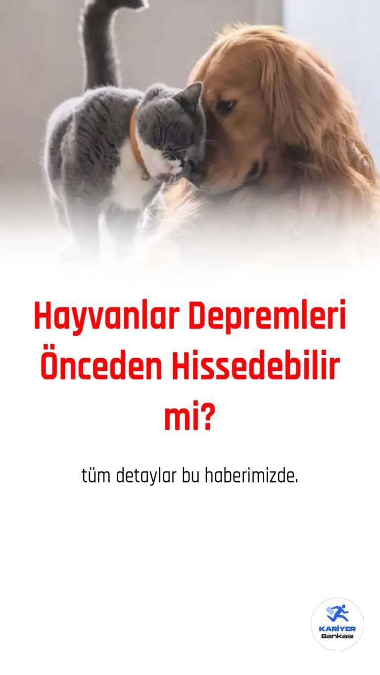 Hayvanlar depremi önceden hissedebilirler ve bu sayede deprem öncesinde hareketlenirler.