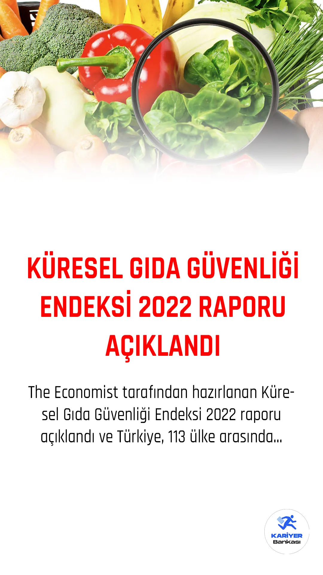 The Economist tarafından hazırlanan Küresel Gıda Güvenliği Endeksi 2022 raporu açıklandı ve Türkiye, 113 ülke arasında 49. sırada yer aldı. Bu sonuç, Türkiye'nin son 10 yılda 13 sıra gerilemesi anlamına geliyor.