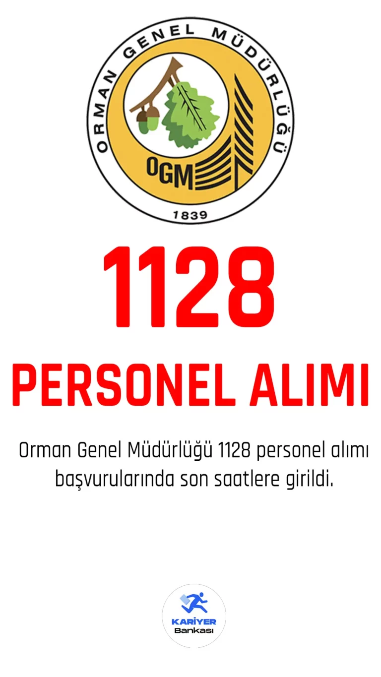 Orman Genel Müdürlüğü (OGM) personel alımı başvurularında son saatlere girildi.