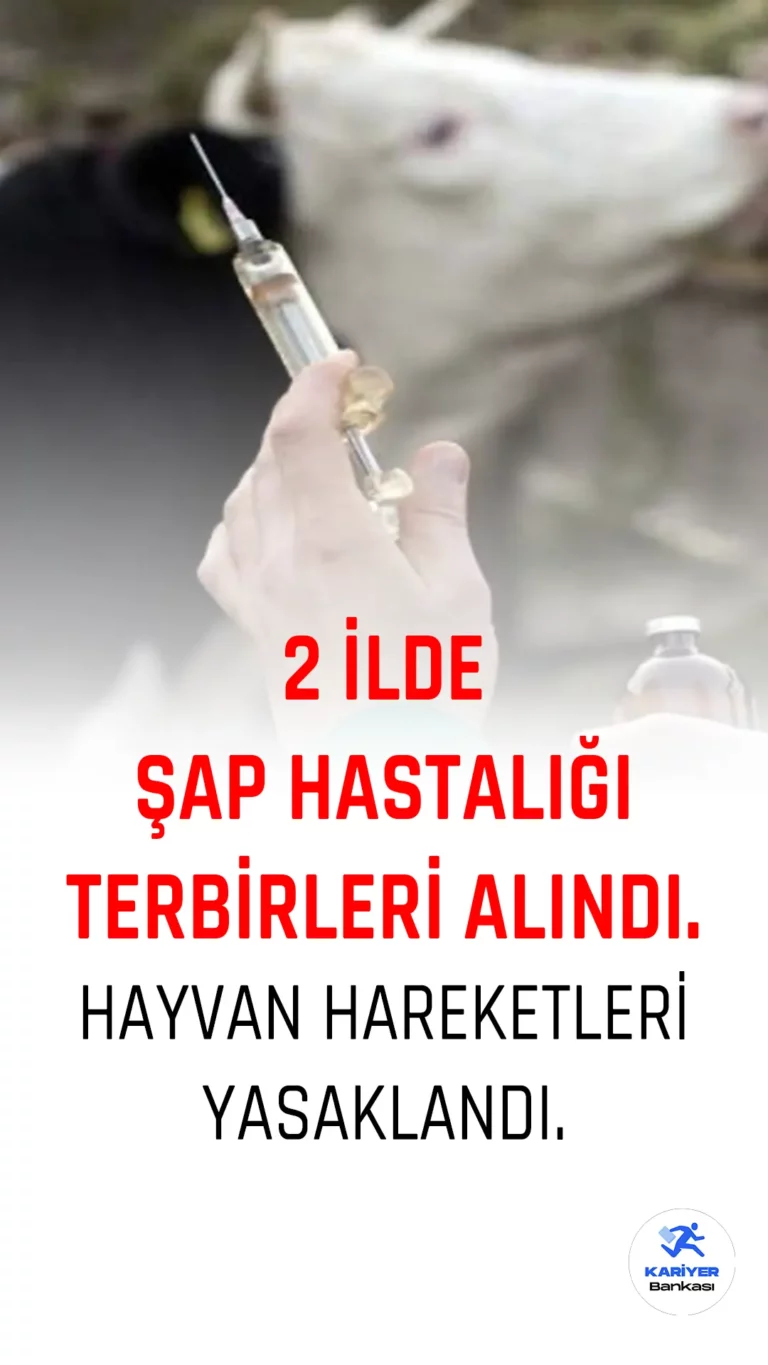 Tarım ve Orman İl Müdürlükleri, Kırıkkale ve Sivas'ta şap hastalığına karşı önlemlerini arttırıyor. Kırıkkale'de yapılan açıklamada, il genelinde 64 bin büyükbaş ve 175 bin küçükbaş hayvan bulunduğu belirtilerek, şap hastalığının tespit edilmediği ve ilkbahar şap aşılama kampanyasının devam ettiği aktarıldı.