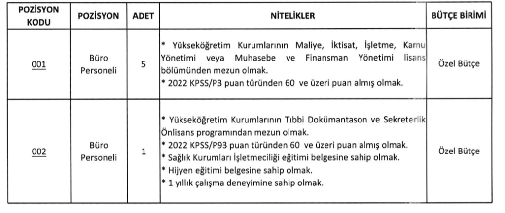 Balıkesir Üniversitesi personel alımı