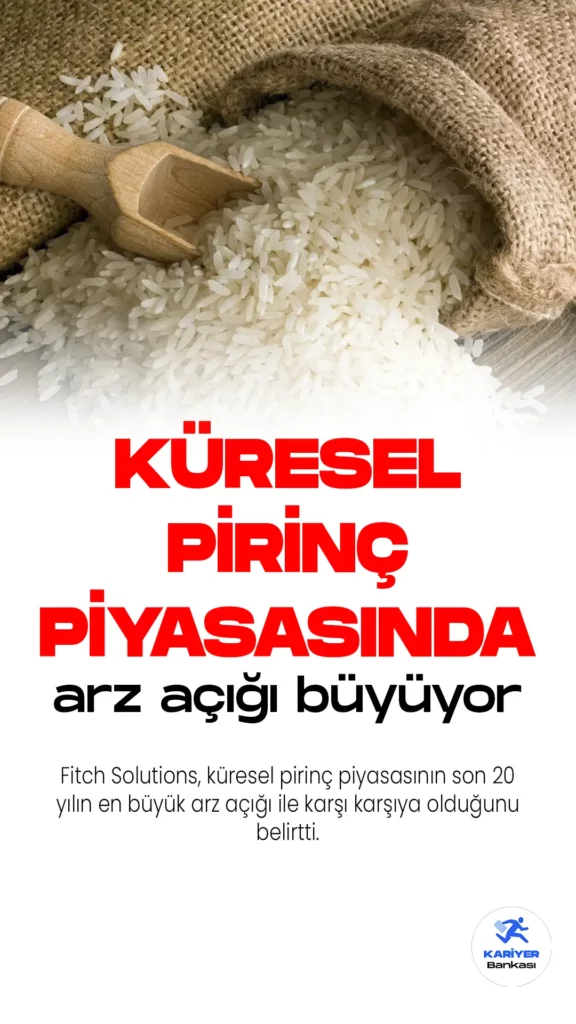 Fitch Solutions, küresel pirinç piyasasının son 20 yılın en büyük arz açığı ile karşı karşıya olduğunu belirtti.