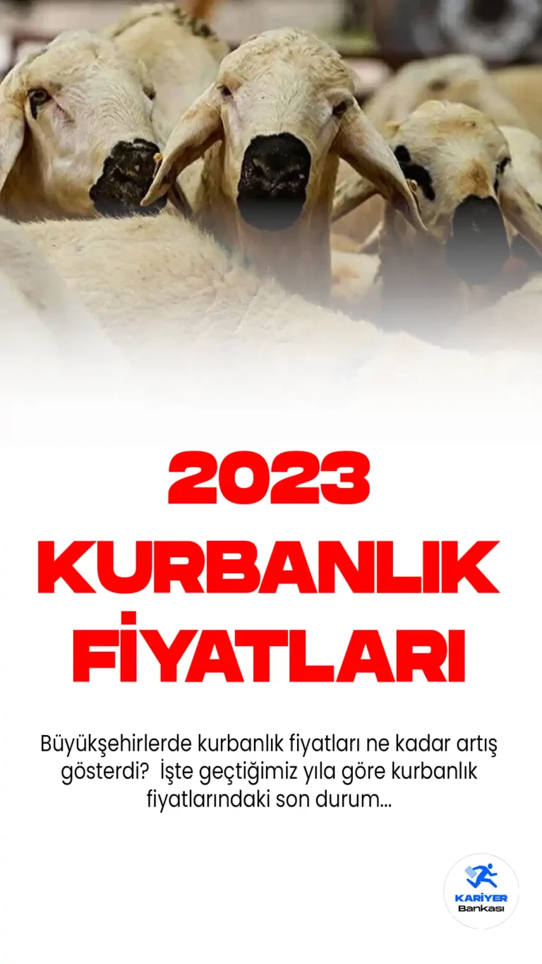 Kurban Bayramı'na kısa bir süre kala, büyükşehirlerde kurban satışlarına başlandı. Kurbanlık fiyatlarının geçen yıla göre yüzde 150 oranında arttığı görülüyor.