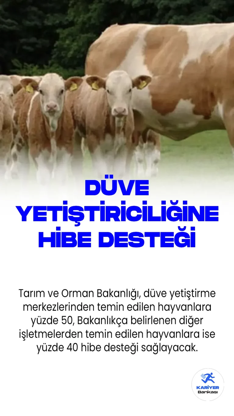 Tarım ve Orman Bakanlığı, düve yetiştirme merkezlerinden temin edilen hayvanlara yüzde 50, Bakanlıkça belirlenen diğer işletmelerden temin edilen hayvanlara ise yüzde 40 hibe desteği sağlayacak. Bakan Vahit Kirişci, Twitter hesabından yaptığı açıklamada, destekte öncelikli olarak birinci derece şehit yakını ve gazi yetiştiriciler ile engelli, genç, kadın ve afetzede yetiştiricilere verileceğini belirtti.