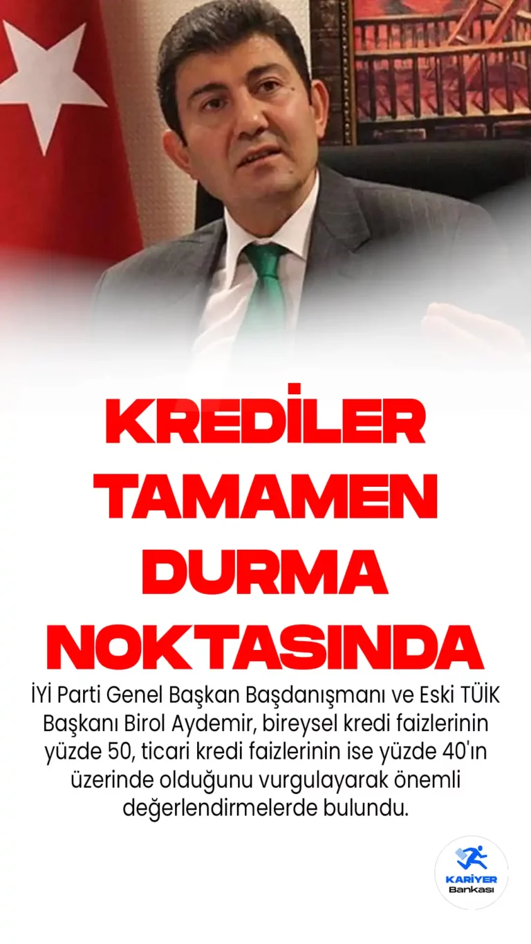 Eski TÜİK Başkanı Birol Aydemir’den Kredi Uyarısı