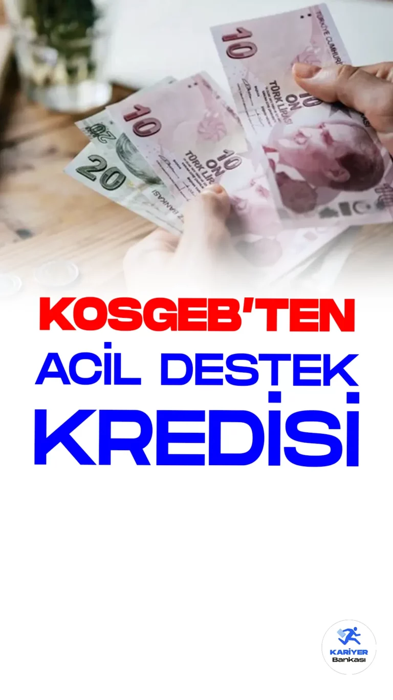 Karadeniz Bölgesi'ndeki sel felaketinden etkilenen işletmelere acil destek! Sıfır faizli kredi ile KOSGEB, Amasya, Samsun, Sinop ve Kastamonu'da faaliyetlerin hızla devam etmesini sağlıyor.