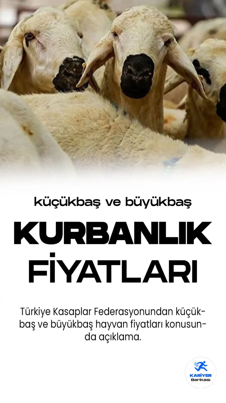 Türkiye Kasaplar Federasyonundan 2023 Kurbanlık Fiyatları Açıklaması