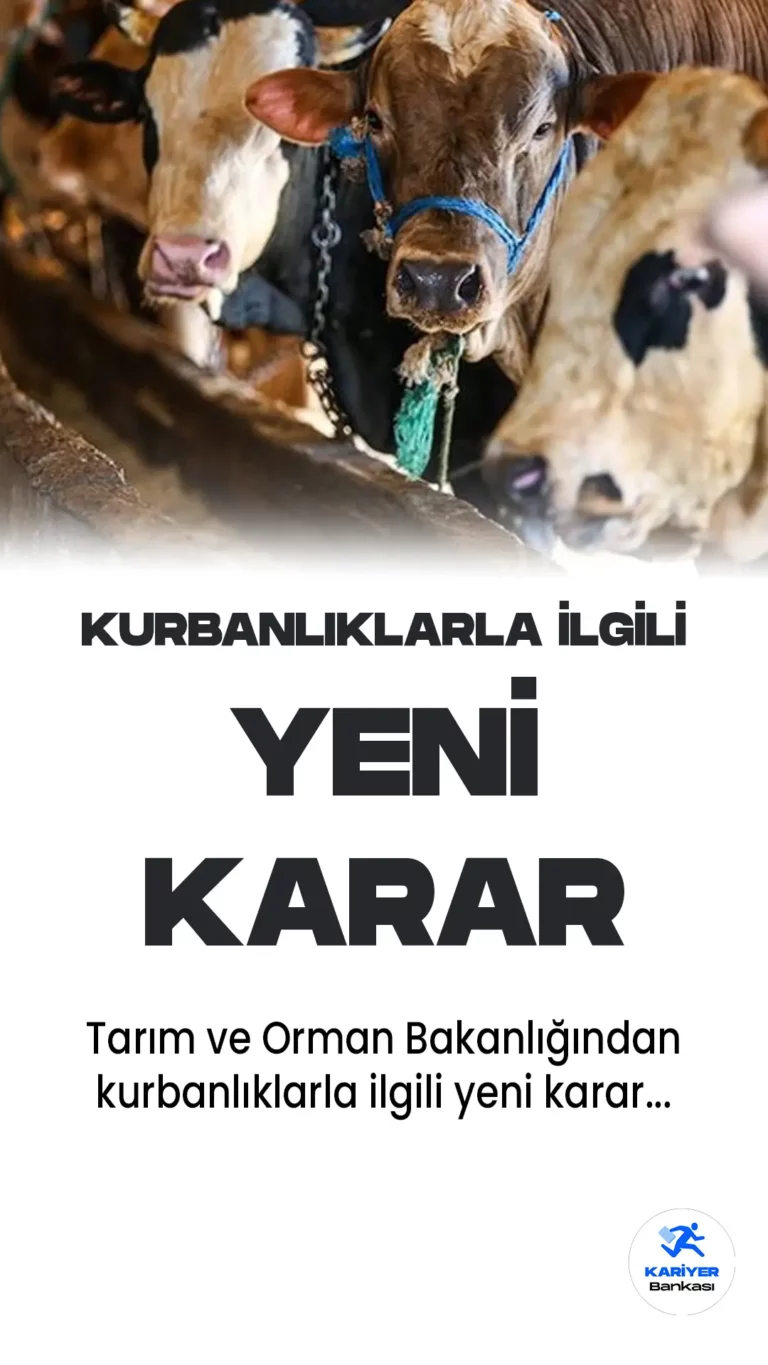 Satılamayan Kurbanlıklarla İlgili Yeni Karar Açıklandı