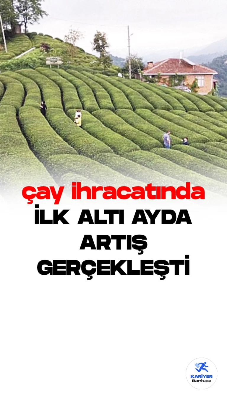 Türkiye, Yılın İlk Yarısında Çay İhracatında 16 Milyon Dolar Kazandı.Türkiye, yılın ilk 6 ayında çay ihracatından toplamda 16 milyon 163 bin 127 dolar gelir elde etti. Doğu Karadeniz İhracatçılar Birliği'nin verilerine göre, Türkiye, dünyadaki tek kar yağışlı çay üreticisi olarak 111 ülke, özerk bölgeler ve serbest bölgelere çay ihraç etti.
