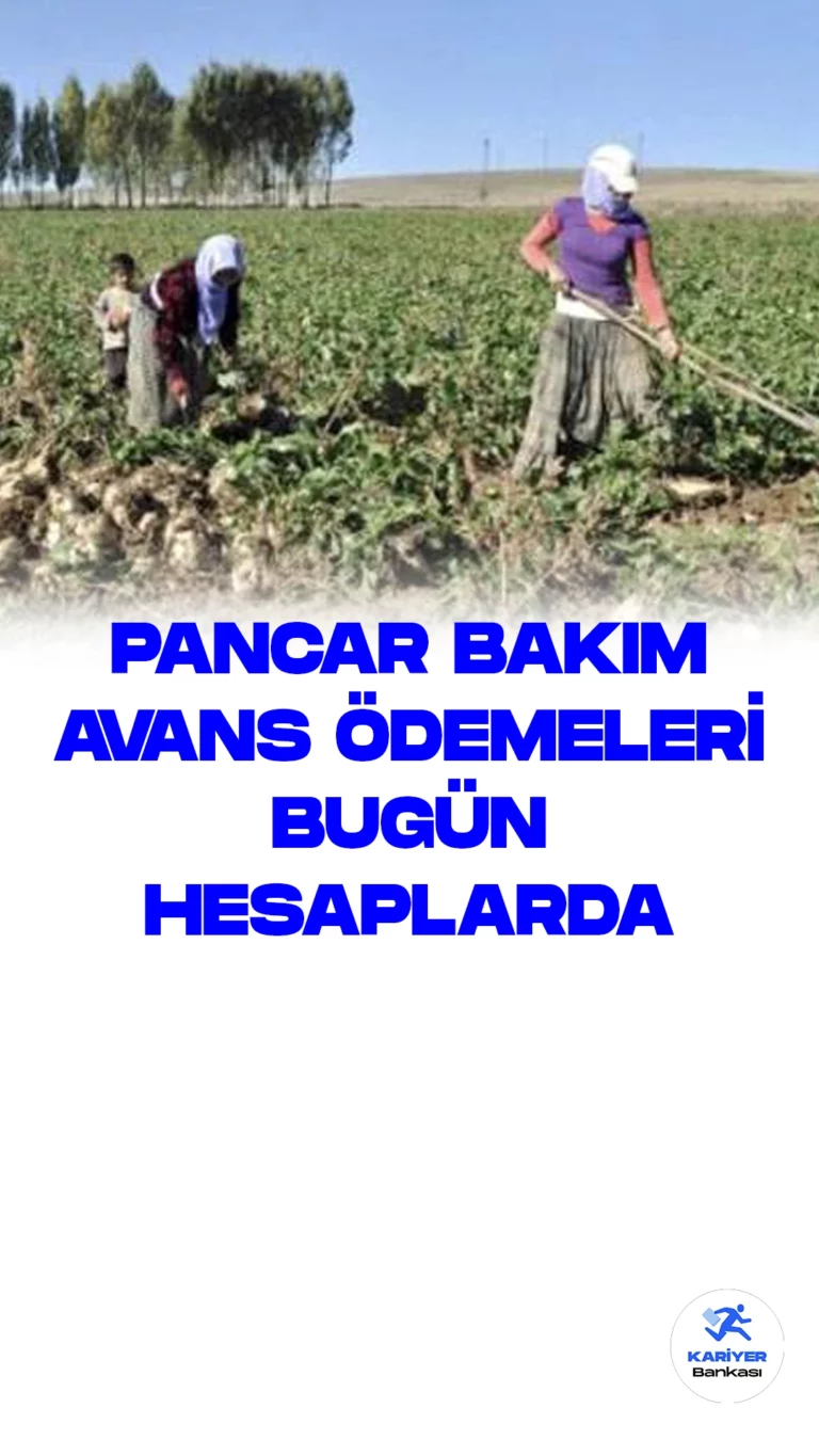 Tarım ve Orman Bakanı İbrahim Yumaklı: Pancar Üreticilerine 734 Milyon TL'lik Bakım Avansı Bugün Hesaplara Aktarılıyor.Tarım ve Orman Bakanı İbrahim Yumaklı, üreticilere yapılacak olan önemli pancar bakım ödemelerinin, toplamda 734 milyon 146 bin TL'lik bir tutarla bugün itibarıyla hesaplarına yatırılacağını açıkladı.