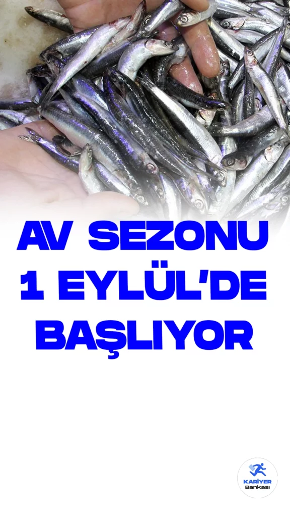 Balıkçılar 1 Eylül'de Başlayacak Yeni Av Sezonuna Hazır.Su Ürünleri Kooperatifleri Merkez Birliği Yönetim Kurulu Başkanı Ramazan Özkaya, yaklaşan 1 Eylül tarihinden itibaren denizlerde başlayacak av sezonuyla ilgili önemli değerlendirmelerde bulundu.