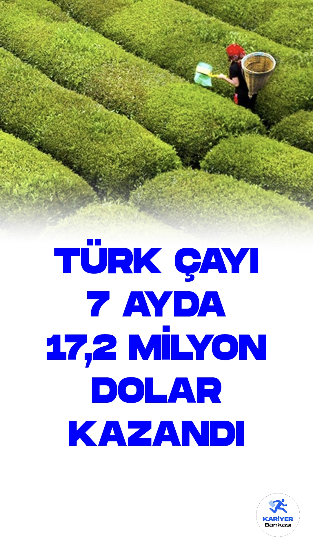 Türk Çayı İhracatta 7 ayda 17,2 Milyon Dolar Kazandırdı.Türkiye, ocak-temmuz döneminde gerçekleştirdiği çay ihracatında önemli bir büyüme kaydetti. Bu dönemde yapılan çay ihracatı, geçen yılın aynı dönemine kıyasla %30 artış göstererek 17 milyon 182 bin 55 dolar değerine ulaştı.