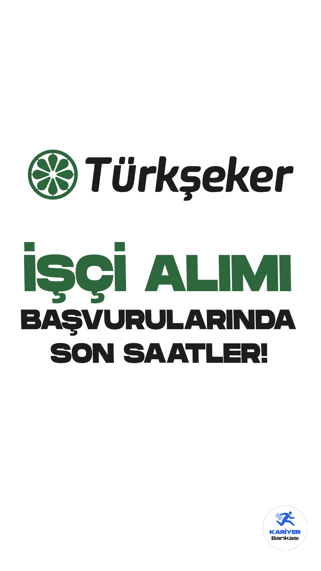 Türkşeker 613 işçi alımı için başvurularda son saatlere girildi. Başvurular bugün (15 Eylül) sona eriyor. Başvuru yapacak adayların şartları dikkatle incelemesi gerekmektedir.