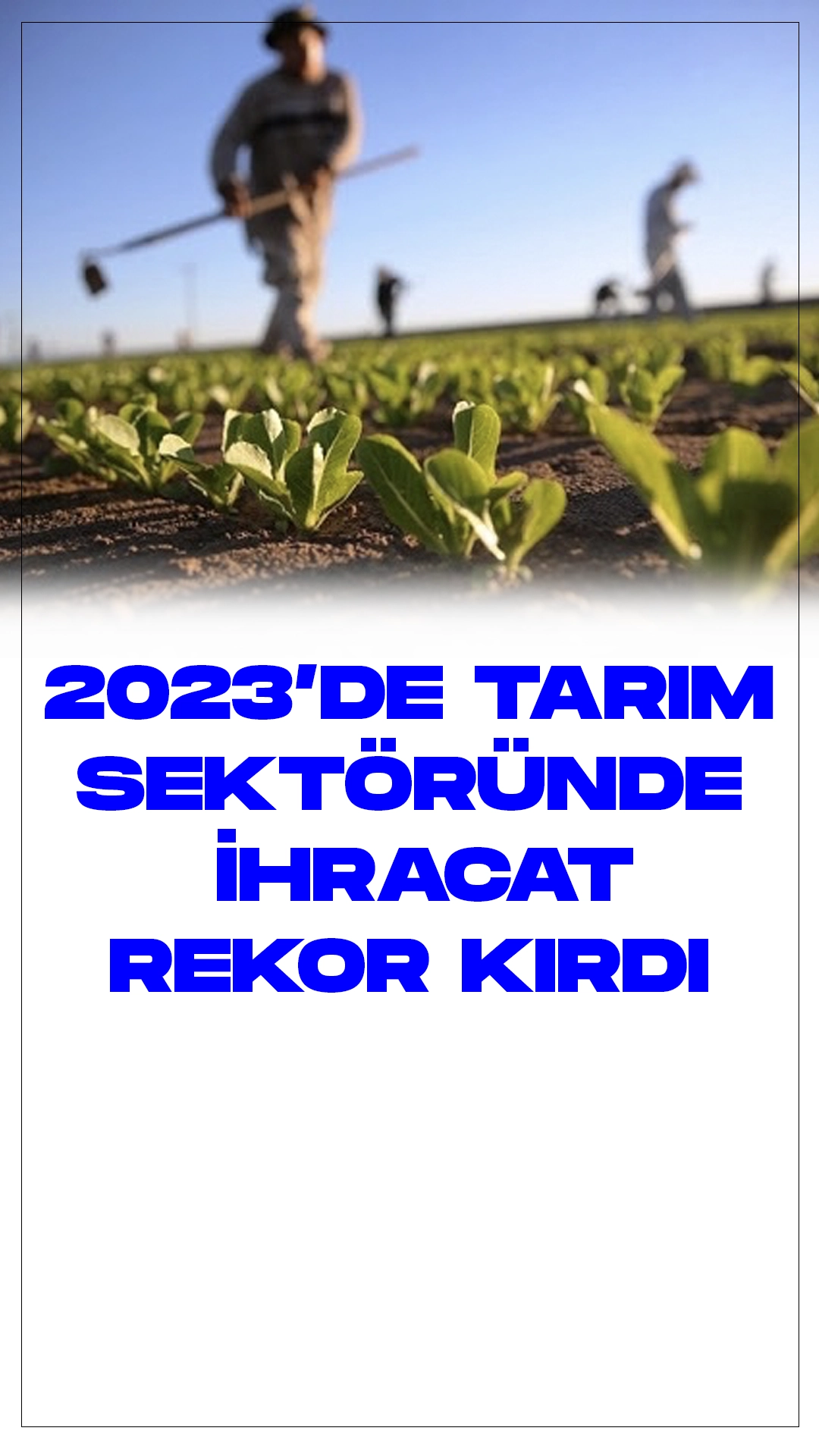 Tarım Sektörü 2023'te Tarihi İhracat Rekorunu Kırdı: 35 Milyar Dolarlık Dış Satış.Geçtiğimiz yıl, Türkiye'nin tarım sektörü, tüm zamanların en yüksek ihracat rakamına ulaşarak 35 milyar doları aştı. Jeopolitik riskler, arz endişeleri, kuraklık ve küresel gıda erişimine dair sorunlar devam ederken, Türkiye'nin tarım ürünlerine olan talep artışı devam etti.