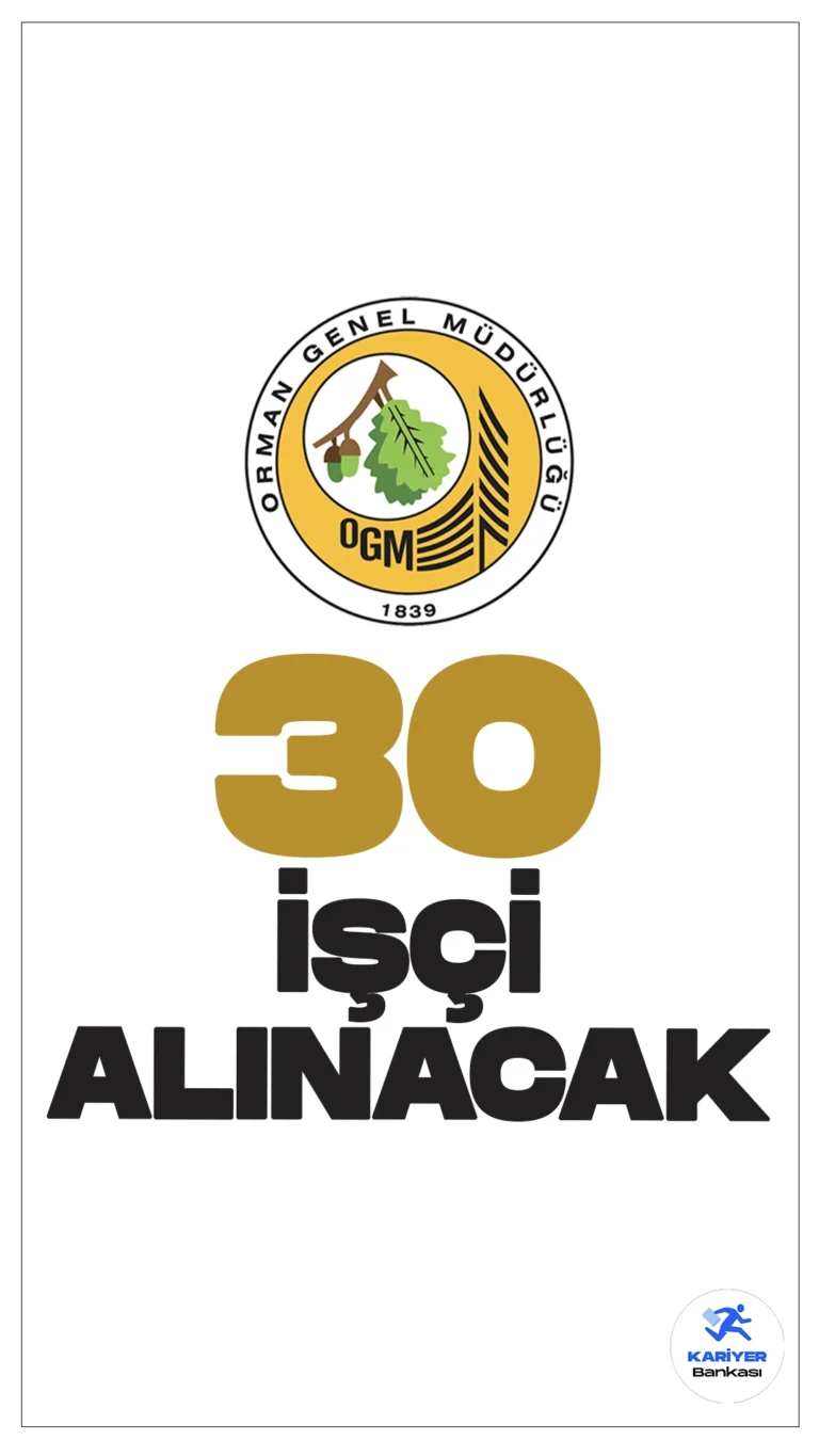 OGM 30 Geçici İşçi Alımı Yapacak. Türkiye İş Kurumu sayfasından yayımlanan duyuruda, Orman Genel Müdürlüğüne TYP kapsamında geçici işçi alımı yapılacağı aktarıldı. Başvurular bugün (21 Haziran) itibarıyla alınacak. Başvuru yapacak adayların belirtilen şartları sağlaması gerekmektedir.