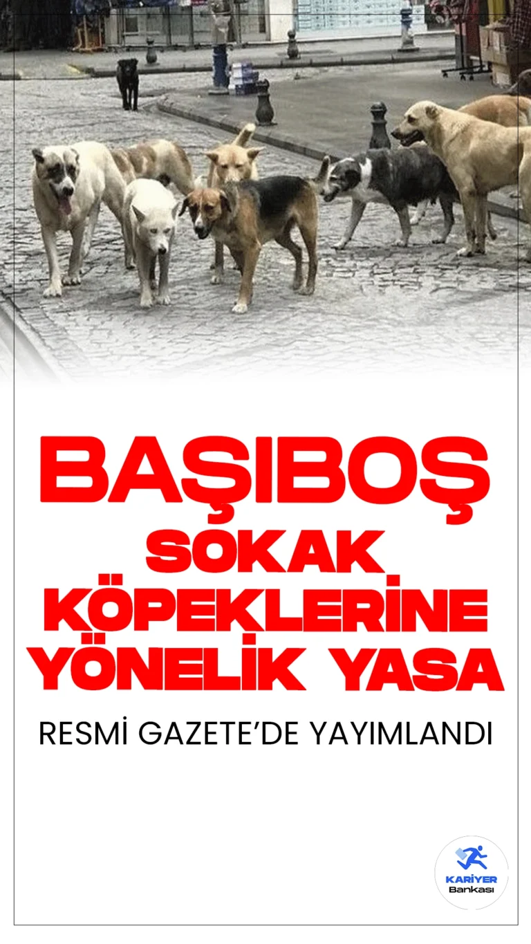 Başıboş Sokak Köpeklerine Yönelik Yasa Resmi Gazete'de Yayımlandı.Başıboş sokak köpeklerine yönelik düzenlemeler içeren Hayvanları Koruma Kanunu'nda Değişiklik Yapılmasına Dair Kanun, Resmi Gazete'de yayımlandı. Bu düzenlemeyle, başıboş sokak köpeklerinin toplanması, kısırlaştırılması ve sahiplendirilmesi belediyelerin sorumluluğunda olacak.