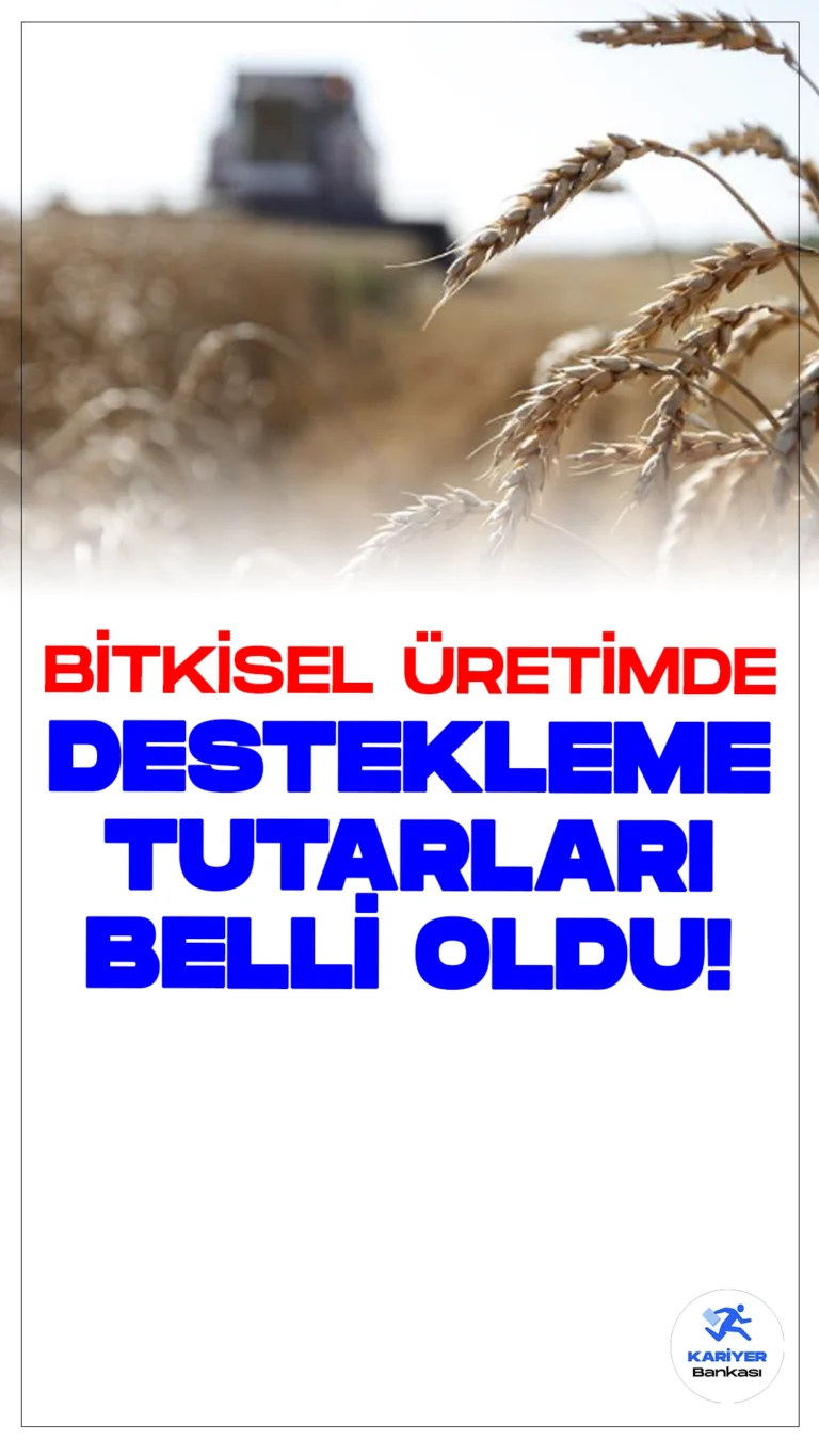 Bitkisel Üretimde Destekleme Tutarları Açıklandı.Tarım ve Orman Bakanlığı tarafından açıklanan yeni destekleme tutarları, 2024 yılı bitkisel üretim faaliyetleri için çiftçilerin yüzünü güldürecek. Arpa, buğday, çavdar gibi ürünler için dekar başına 123 lira mazot ve 62 lira gübre desteği verilecek.