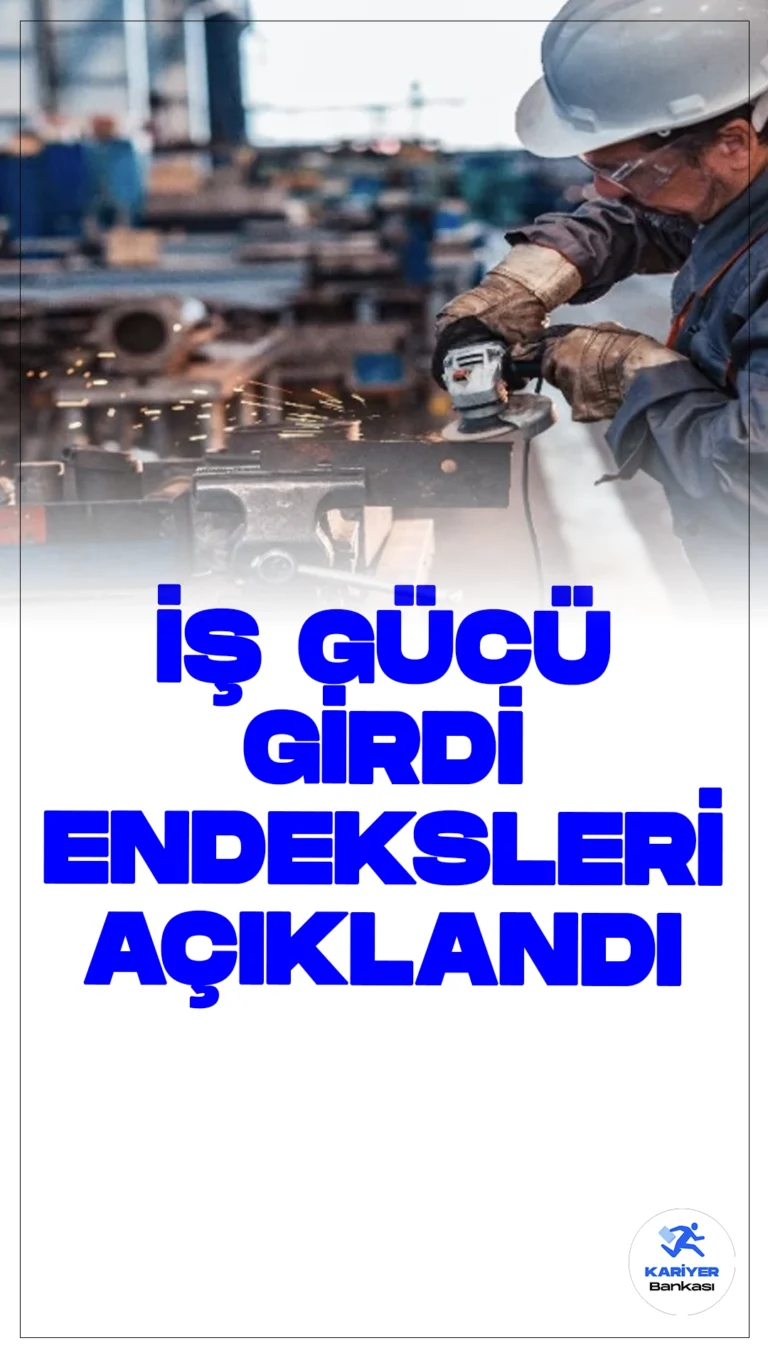 2024 Yılı İkinci Çeyrek İş Gücü Girdi Endeksleri Açıklandı.Türkiye İstatistik Kurumu (TÜİK), 2024 yılı ikinci çeyreğine ilişkin iş gücü girdi endekslerini duyurdu. İstihdam endeksi yıllık bazda yüzde 4,2, çalışılan saat endeksi yüzde 0,3, brüt ücret-maaş endeksi ise yüzde 115,4 oranında artış gösterdi.