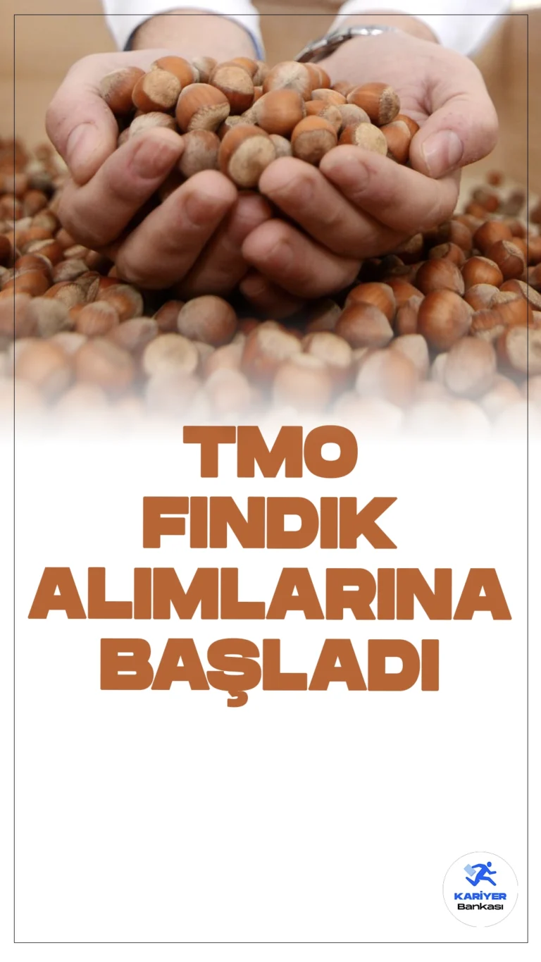 TMO Fındık Alımlarına Başladı.Toprak Mahsulleri Ofisi (TMO), Ordu'da yeni sezon fındık alımlarına resmen başladı. Üreticilere Giresun kalite fındığın kilosu 132 lira, sivri fındığın kilosu ise 125 lira olarak ödenecek.