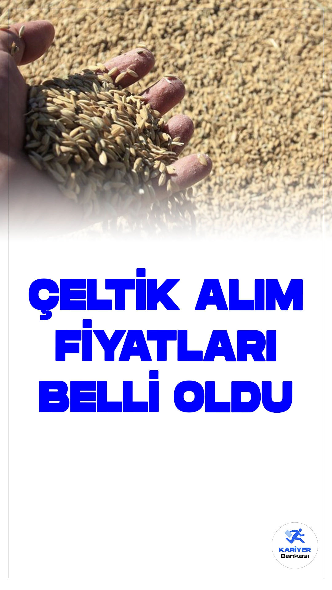 TMO 2024 Çeltik Alım Fiyatlarını Açıkladı.Toprak Mahsulleri Ofisi (TMO), 2024 yılı için çeltik alım fiyatlarını açıkladı. Baldo çeltik için ton başına 31 bin lira, Cammeo için 30 bin lira ve Osmancık için 25 bin lira fiyat belirlendi.