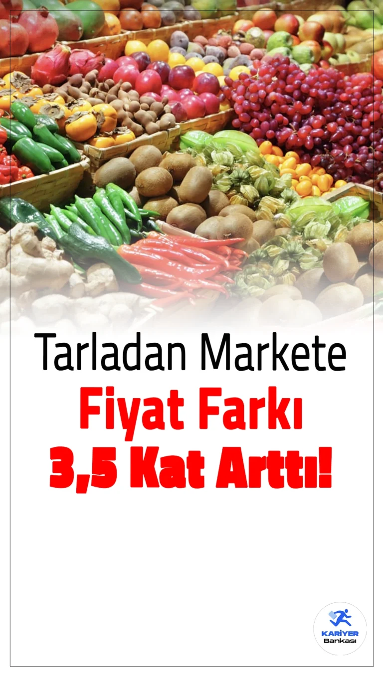 Eylül ayında üreticiden çıkan sebze ve meyveler, market raflarına gelene kadar fiyatlarını 3,5 kata kadar artırarak vatandaşa yüksek fiyatlarla ulaştı. En büyük fiyat farkı ise havuçta yaşandı. Üreticiden 7,5 liraya çıkan havuç, markette 26 liradan satışa sunuldu. Aynı şekilde limon, kuru kayısı, soğan ve patates de market raflarında cep yakan fiyatlarla yer aldı.
