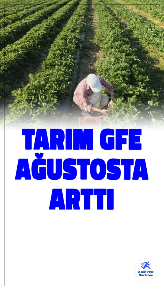 Tarımsal Girdi Fiyat Endeksi Ağustosta Yükseldi.Tarımsal girdi fiyat endeksi (Tarım-GFE) ağustos ayında yıllık yüzde 33,25, aylık bazda ise yüzde 1,93 oranında artış gösterdi.