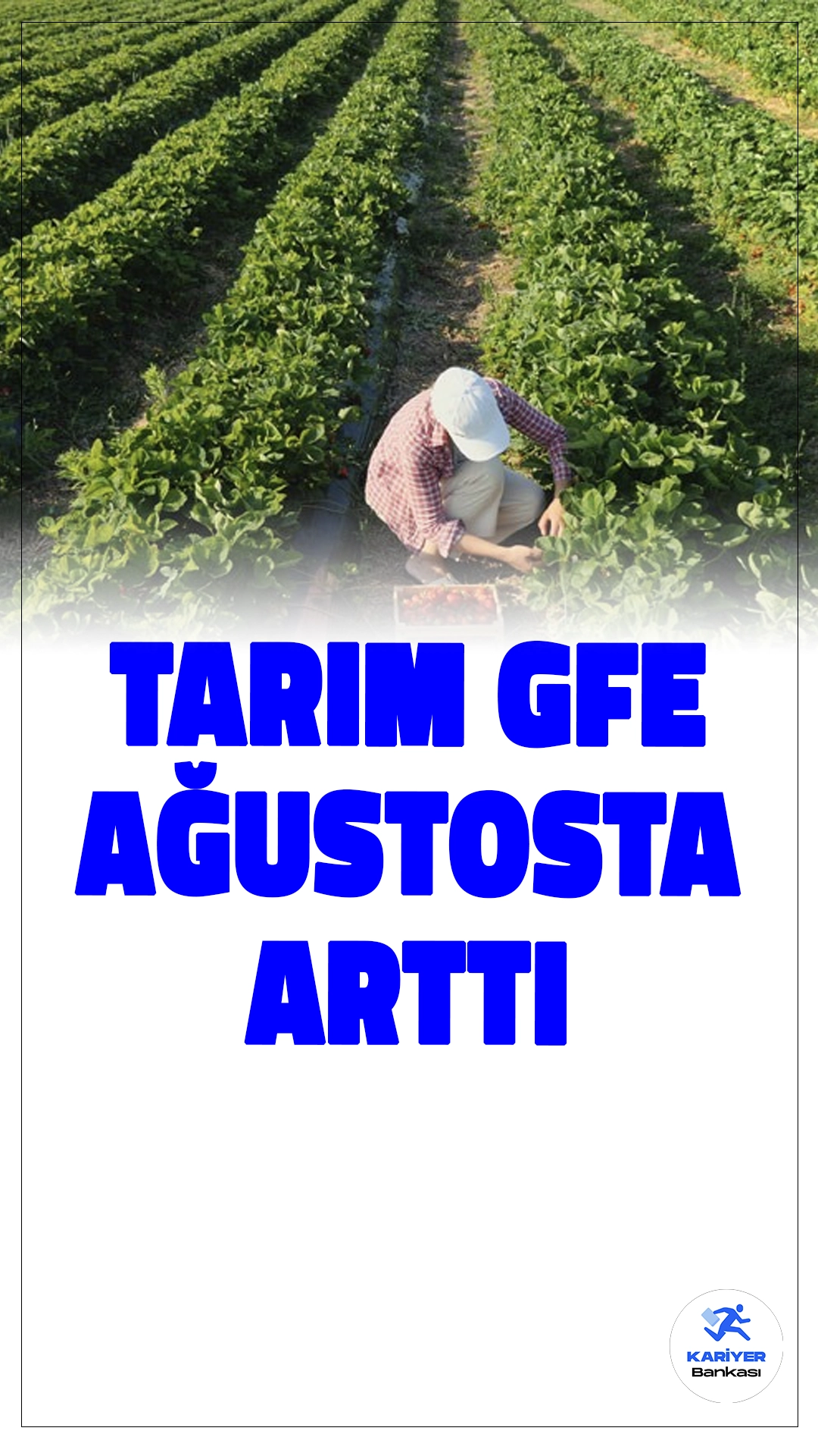 Tarımsal Girdi Fiyat Endeksi Ağustosta Yükseldi.Tarımsal girdi fiyat endeksi (Tarım-GFE) ağustos ayında yıllık yüzde 33,25, aylık bazda ise yüzde 1,93 oranında artış gösterdi.