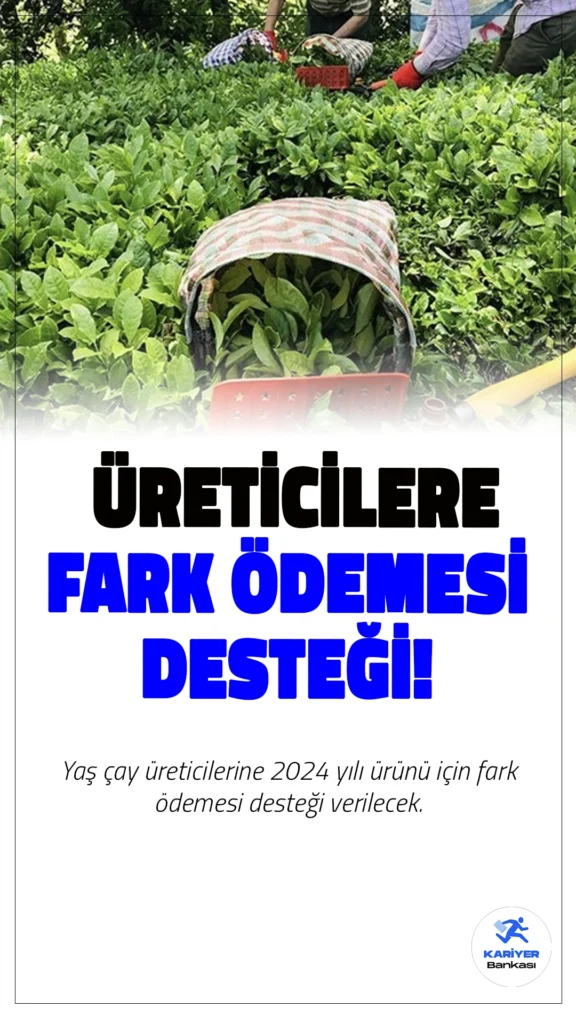 Yaş Çay Üreticilerine 2024 Yılı İçin Fark Ödemesi Desteği.Yaş çay üreticilerine 2024 yılı ürünü için kilogram başına 200 kuruş fark ödemesi desteği verilecek. Çay üreticilerini ilgilendiren bu destek, Resmi Gazete'de yayımlandı.