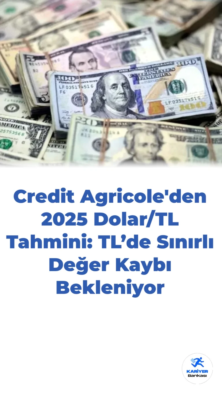 Fransız Bankadan 2025 Yılı Dolar/TL Tahmini: TL’de Değer Kaybı Sınırlı Olacak