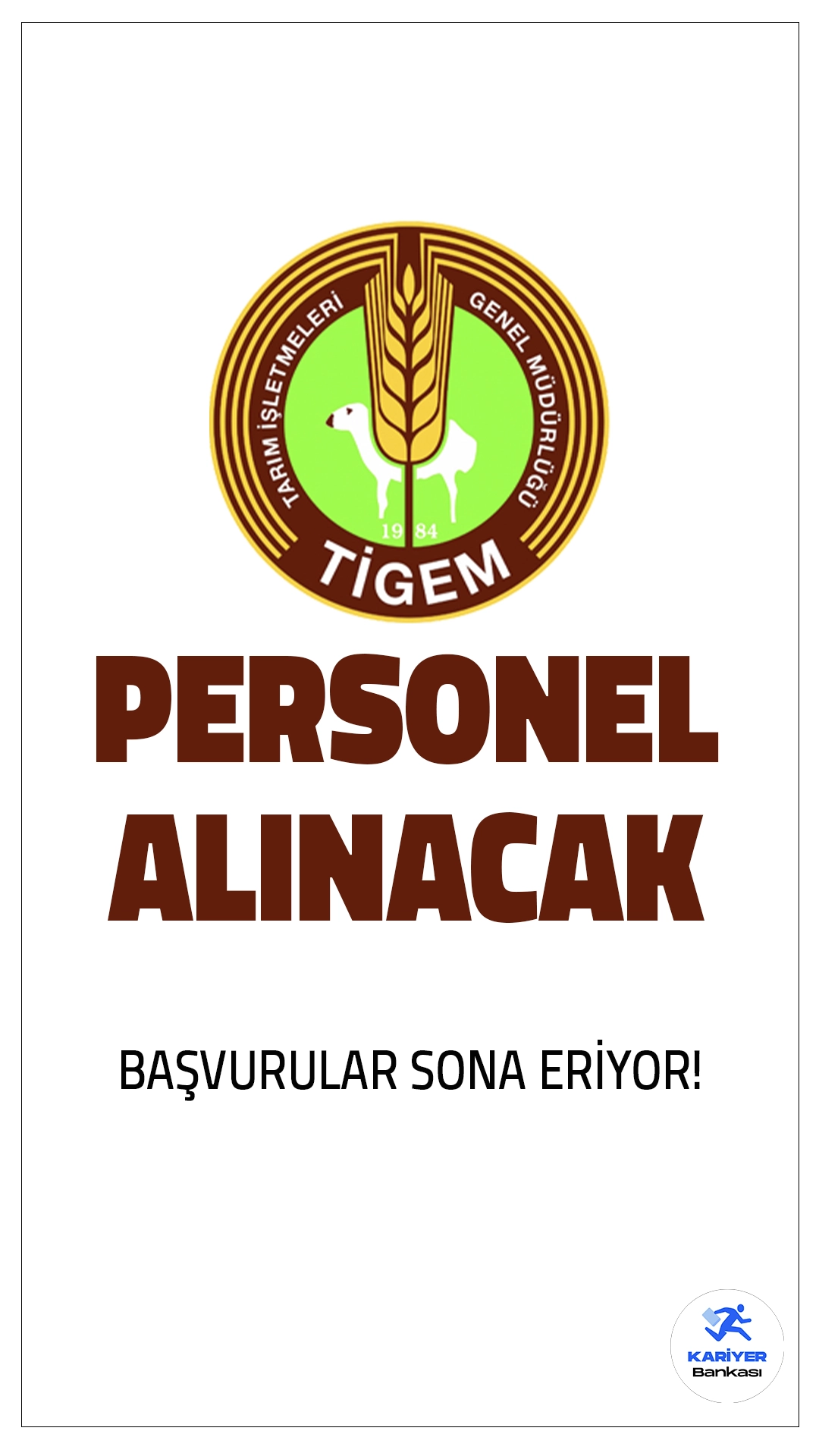 TİGEM 69 Personel Alımı Sona Eriyor.Tarım İşletmeleri Genel Müdürlüğü (TİGEM), taşra teşkilatındaki personel ihtiyacını karşılamak amacıyla toplamda 69 personel (sözleşmeli Ziraat Mühendisi) alımı başvurularında sona gelindi. Başvuru işlemleri bugün (19 Ocak) sona eriyor. Başvuru yapacak adayların şartları dikkatle incelemesi gerekmektedir. Başvuru şartları, sınav tarihleri ve detaylar Kariyerbankasi.net'in bu haberinde.