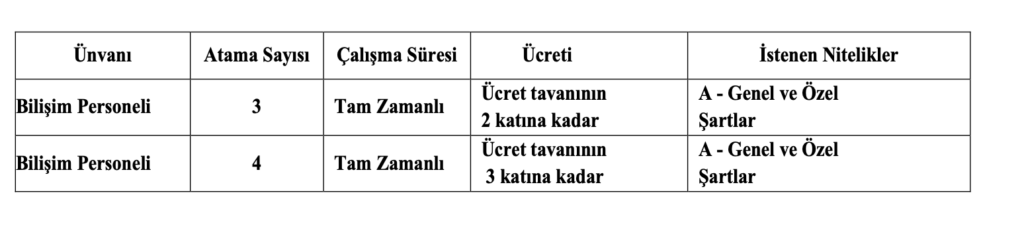 Anadolu Üniversitesi personel alımı