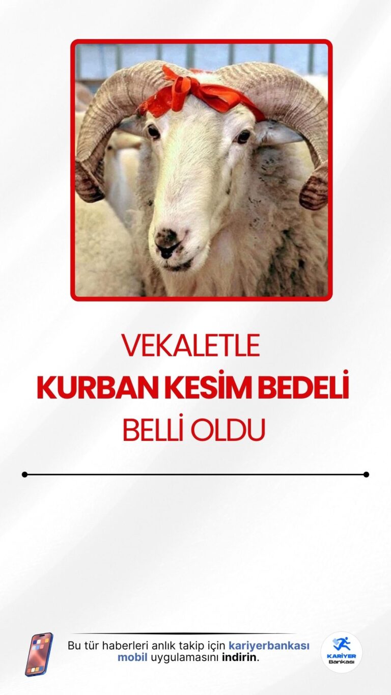 2025 Vekaletle Kurban Kesim Bedeli Oldu.2025 yılında vekaletle kurban kesim ücretleri belli oldu. Diyanet İşleri Başkanı Prof. Dr. Ali Erbaş, yurt içi ve yurt dışı için ayrı ayrı belirlenen yeni bedelleri duyurdu.
