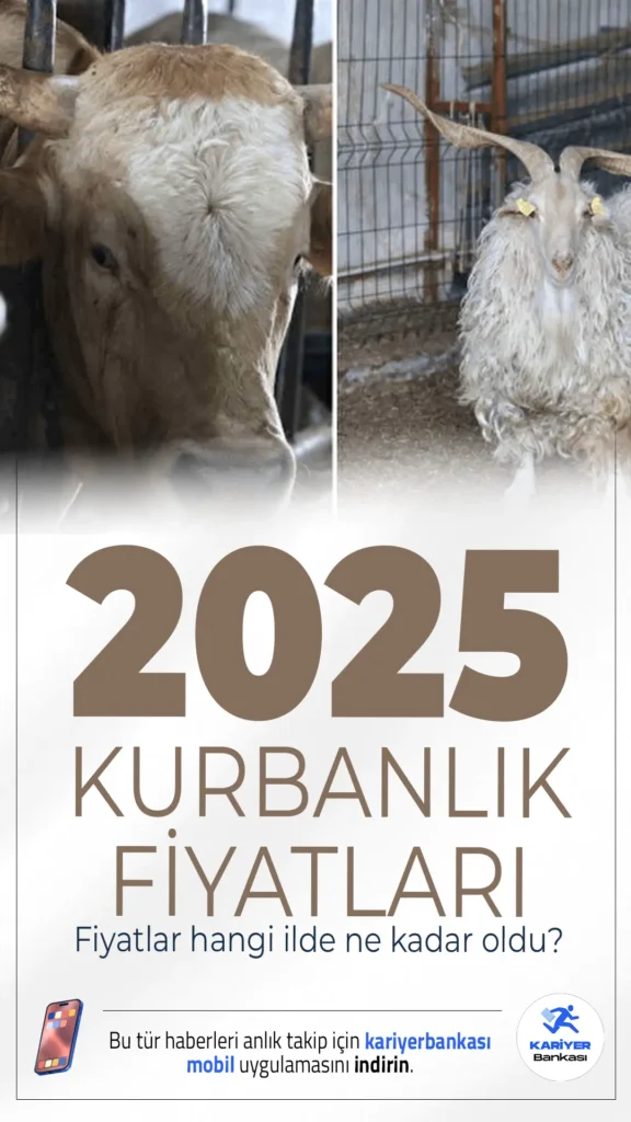 Kurban Bayramı’na Geri Sayım Başladı: 2025 Kurbanlık Fiyatları Belli Oldu