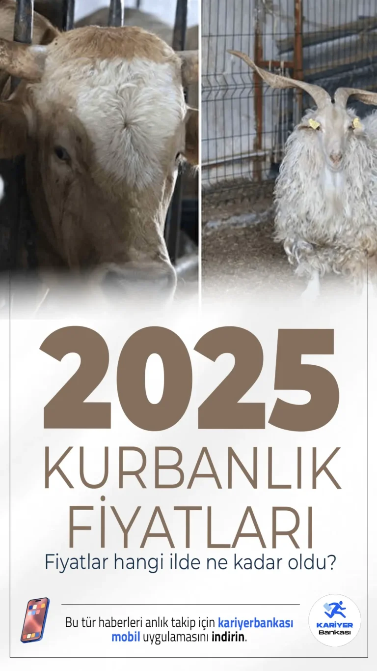 Kurban Bayramı’na Geri Sayım Başladı: 2025 Kurbanlık Fiyatları Belli Oldu