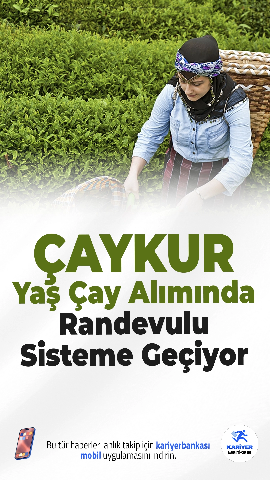 ÇAYKUR Yaş Çay Alımında Randevulu Sisteme Geçiyor.ÇAYKUR, yaş çay alımında üreticilerin daha düzenli satış yapabilmesi için randevulu sisteme geçileceğini açıkladı.