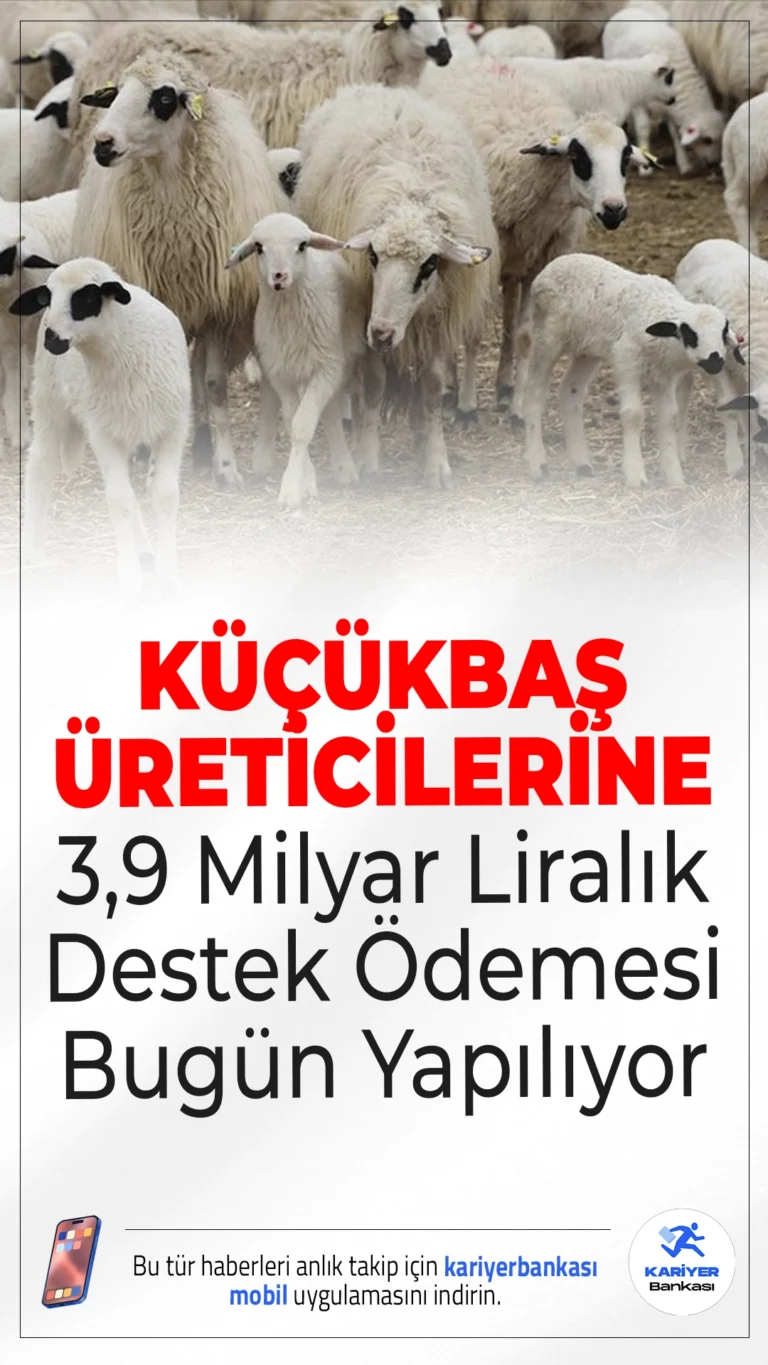 Küçükbaş Hayvancılığa 3,9 Milyar Liralık Destek Ödemesi Bugün Yapılıyor.Üreticiye nefes aldıracak 3 milyar 888 milyon liralık küçükbaş hayvancılık desteği, Tarım ve Orman Bakanlığı tarafından bugün hesaplara yatırılıyor.